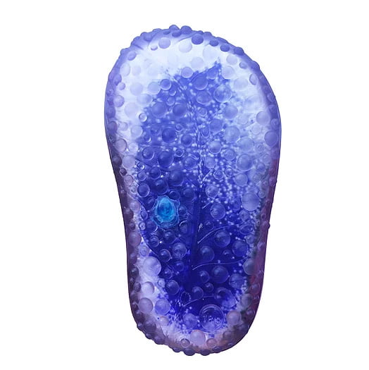 Pavão Pitaia - Imagem 4