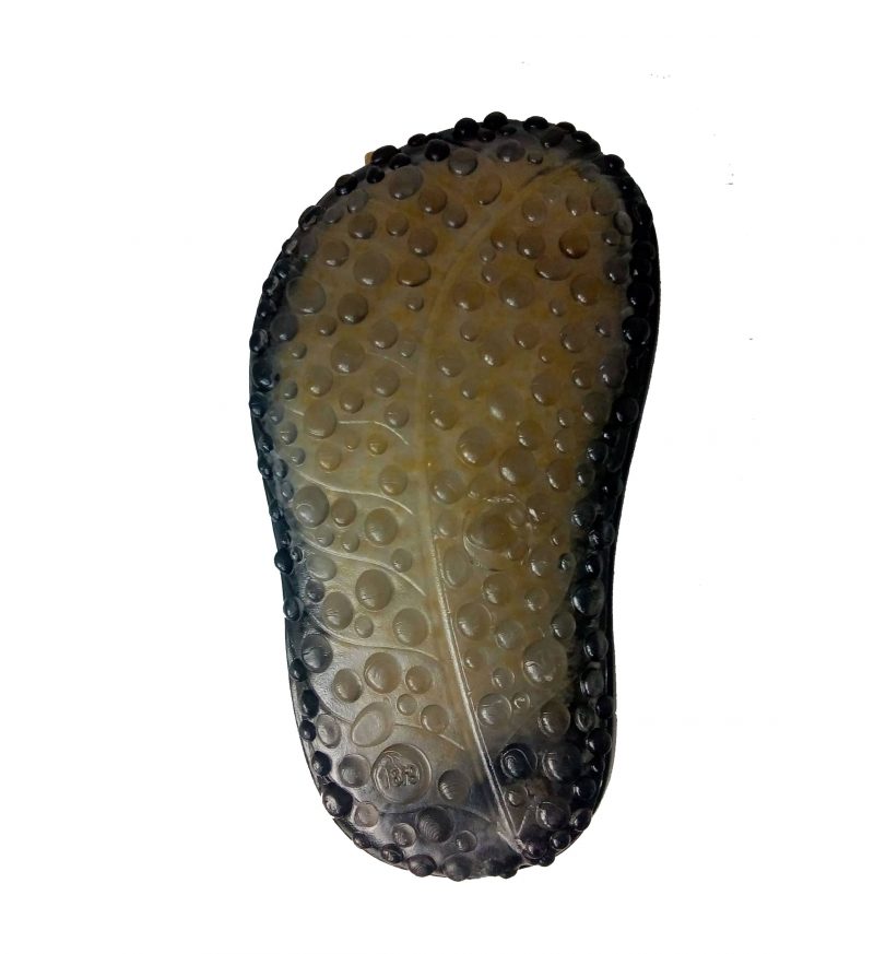 Sabiá Lua - Imagem 4