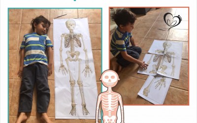 Brincadeiras para fazer em casa: o esqueleto do corpo humano