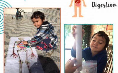 Brincadeiras para fazer em casa: o sistema digestivo