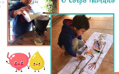 Brincadeiras para fazer em casa: O Sistema Urinário