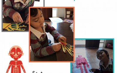 Brincadeiras para fazer em casa: o sistema muscular