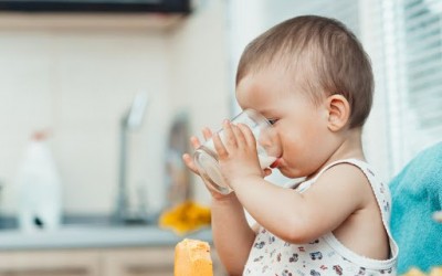 Alergia à proteína do leite ou intolerância à lactose?