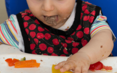 Método BLW e introdução alimentar: qual a relação?